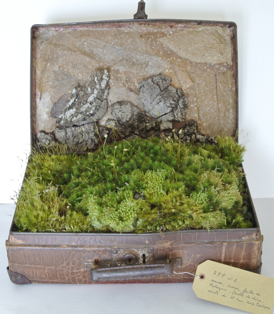 Valise, mousse, écorce, feuilles de châtaignier.
Lieu de collecte : Dordogne, mars 2017.
Réalisation : avril 2017