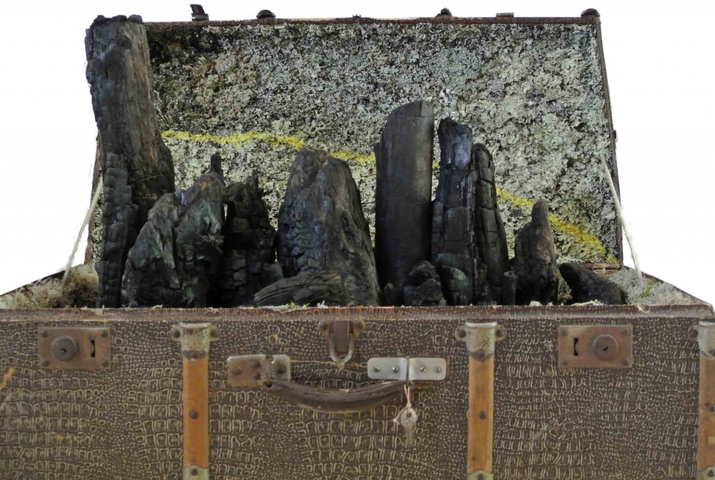 Valise, bois calciné, lichen, pollen de roseau massette.
Lieux de collecte : Pays Basque, Charente Maritime, janvier-avril 2017.
Réalisation : juin-juillet 2017