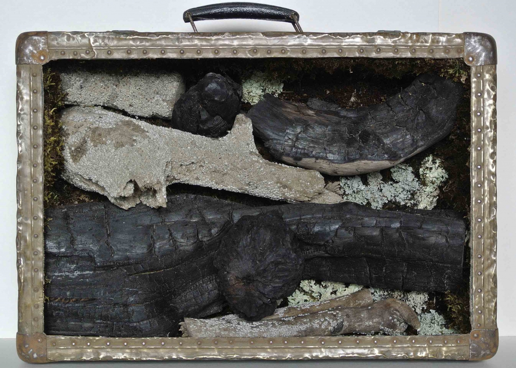 Valise, bois flotté, bois calciné, lichen.
Lieux de collecte : Charente Maritime, Dordogne, novembre 2017.
Réalisation : novembre 2017.