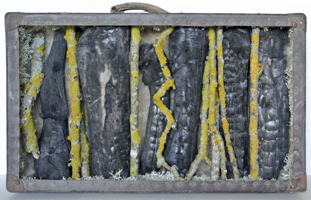 Valise, bois calciné, branches de noyer avec lichen, fleurs de roseaux massette, lichen.
lieux de collecte : Charente Maritime, Dordogne, Aude, novembre-décembre 2017
Réalisation : janvier 2018
